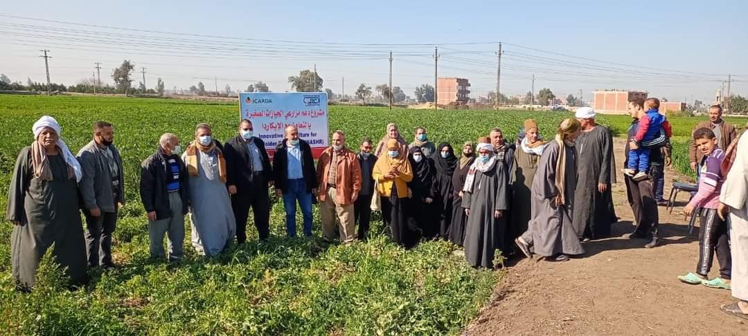 مدرسة حقلية لمحصولي القمح والفول البلدي بالشرقية