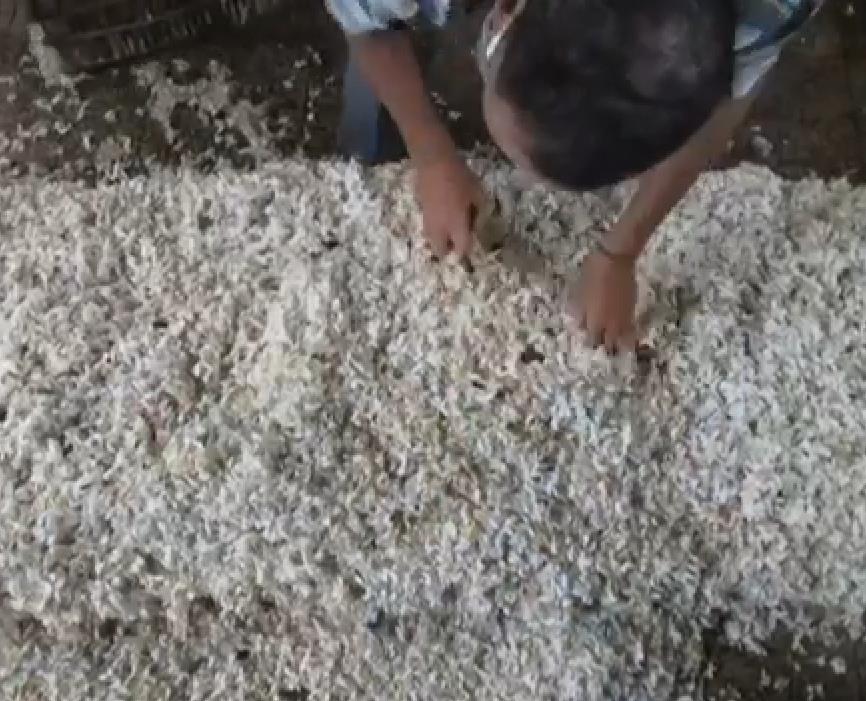 عطر مصري 