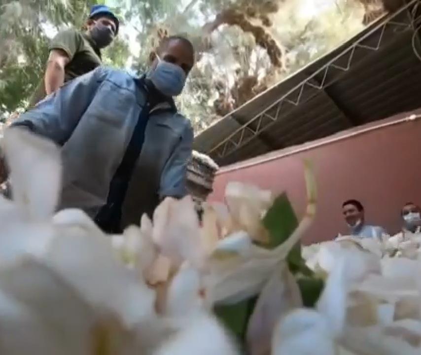 عطر مصري 
