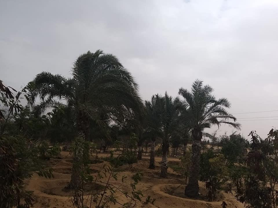 خلال  تفقد مركز التنمية المستدامة لموارد مطروح للمناطق الصحراوية 