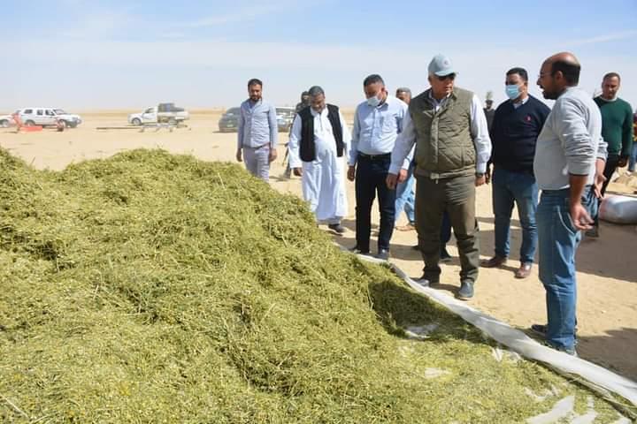 محافظ الوادي الجديد يتفقد مشروع إنتاج نباتات عطرية و زيتية بسهل قروين بالفرافرة