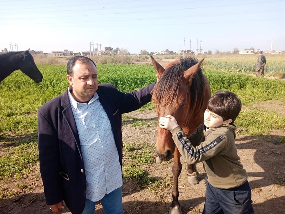 مربو خيول الشرقية في أزمة.. المهنة تعاني بعد توقف التصدير والسباقات