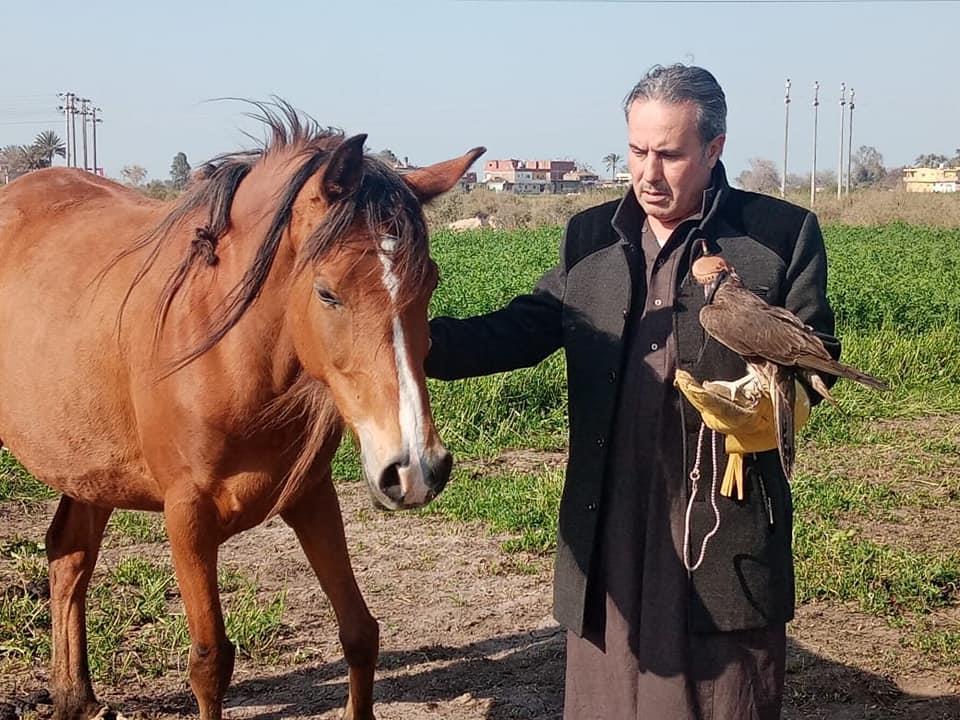 مربو خيول الشرقية في أزمة.. المهنة تعاني بعد توقف التصدير والسباقات
