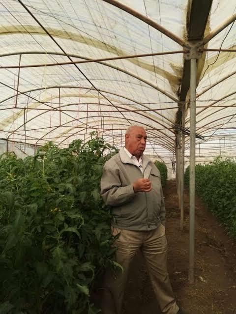الاكتفاء الذاتي من التقاوي.. مهمة زراعية لتحقيق الأمن الغذائي