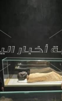 شاهد الصور الأولى .. 22 مومياء ملكي بين يد الجمهور