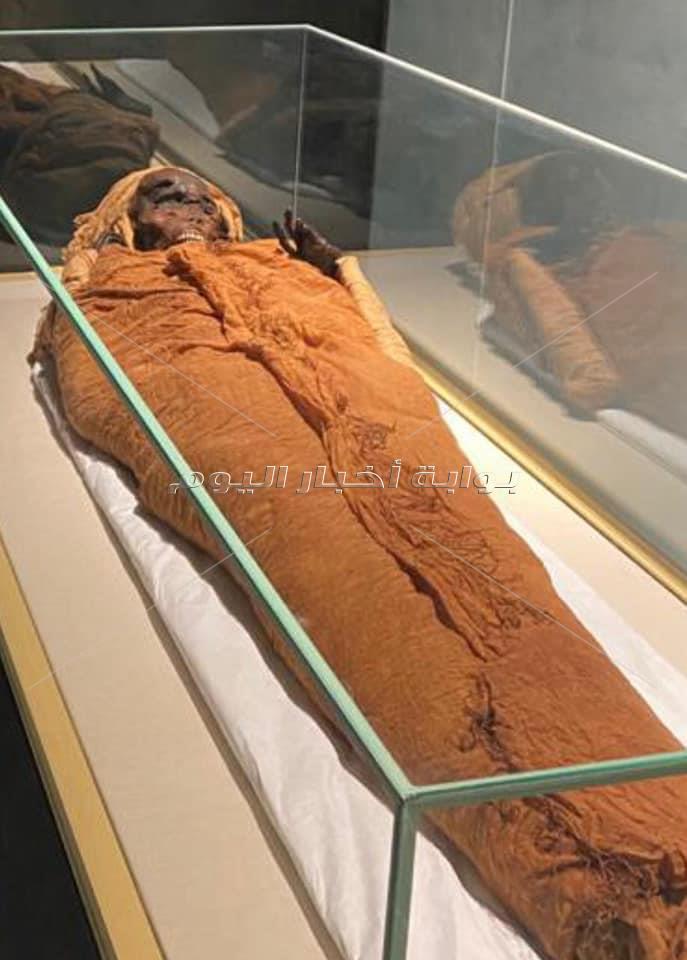 شاهد الصور الأولى .. 22 مومياء ملكي بين يد الجمهور