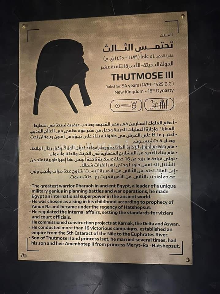 شاهد الصور الأولى .. 22 مومياء ملكي بين يد الجمهور