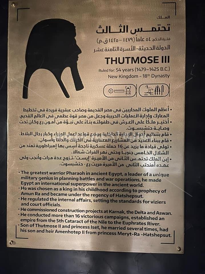 شاهد الصور الأولى .. 22 مومياء ملكي بين يد الجمهور