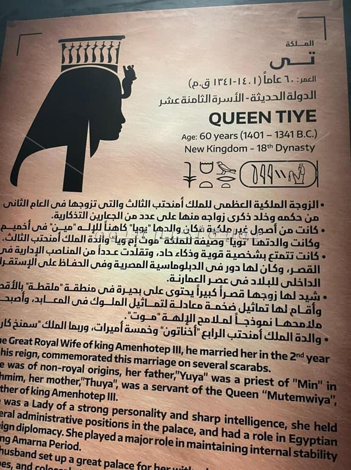 شاهد الصور الأولى .. 22 مومياء ملكي بين يد الجمهور