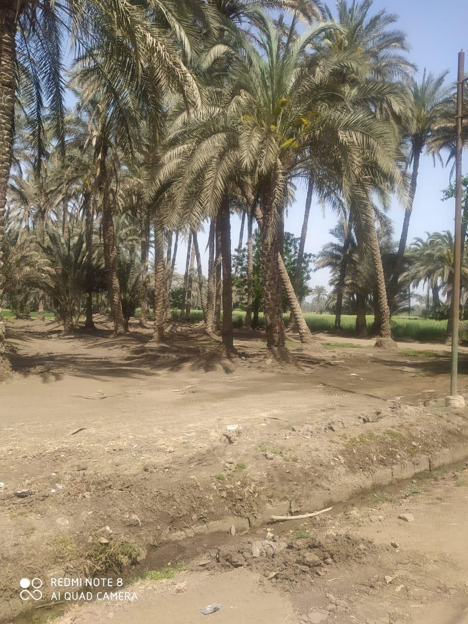  إغلاق حدائق قها بالقليوبية تزامنا مع أعياد الربيع