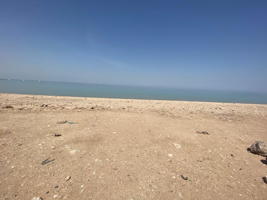  الحدائق العامة في السويس 