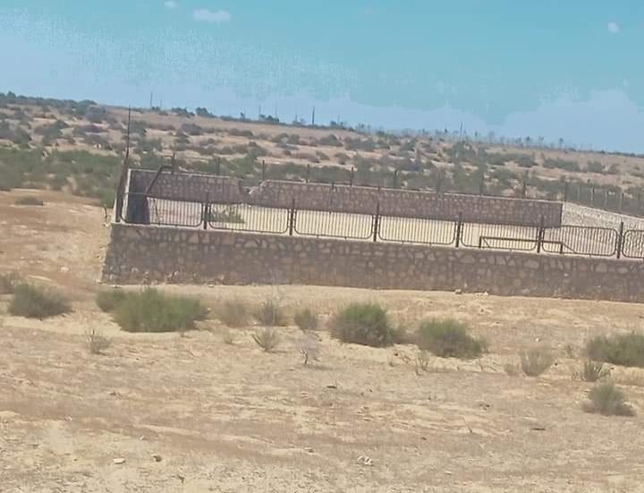 علم مصر يرفرف في قرية الظهير  بشمال سيناء