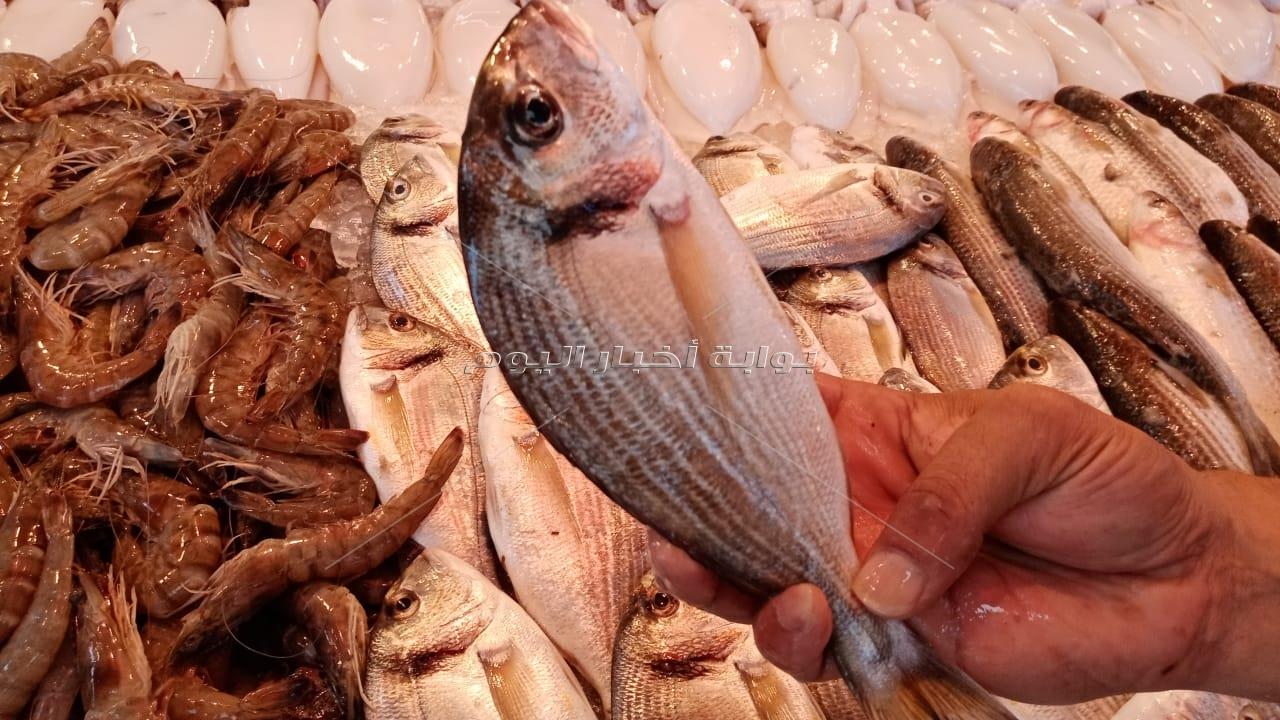 سوق السمك ببورسعيد.. نقلة من العشوائية إلى التحضر