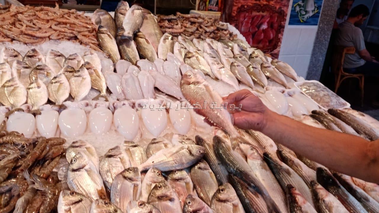 سوق السمك ببورسعيد.. نقلة من العشوائية إلى التحضر