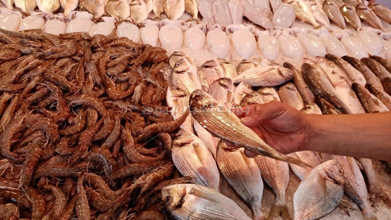 سوق السمك ببورسعيد.. نقلة من العشوائية إلى التحضر