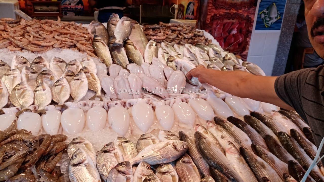 سوق السمك ببورسعيد.. نقلة من العشوائية إلى التحضر