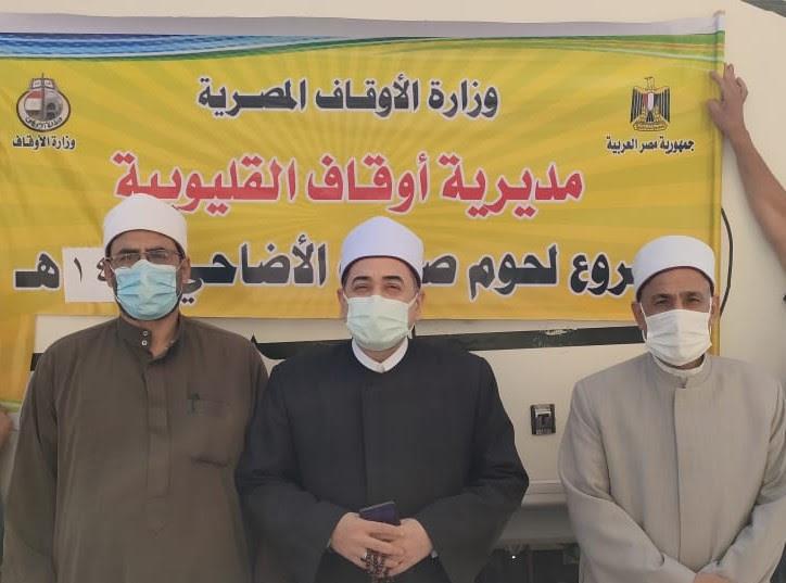 أضاحي الأوقاف 