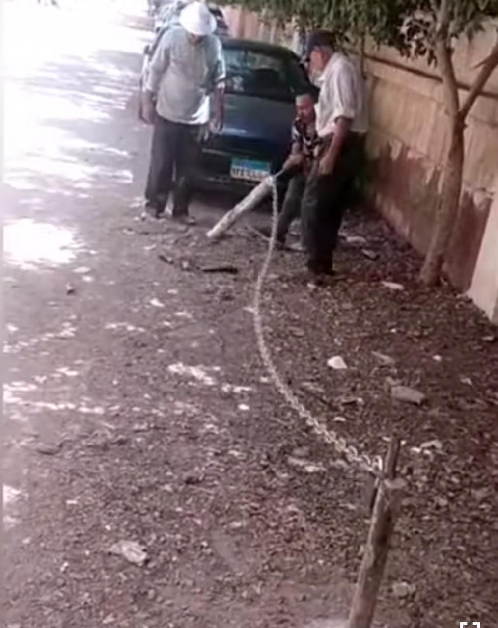 بالصور- حي العجمي يزيل تعديات لـ"حمو بيكا" أمام منزله..