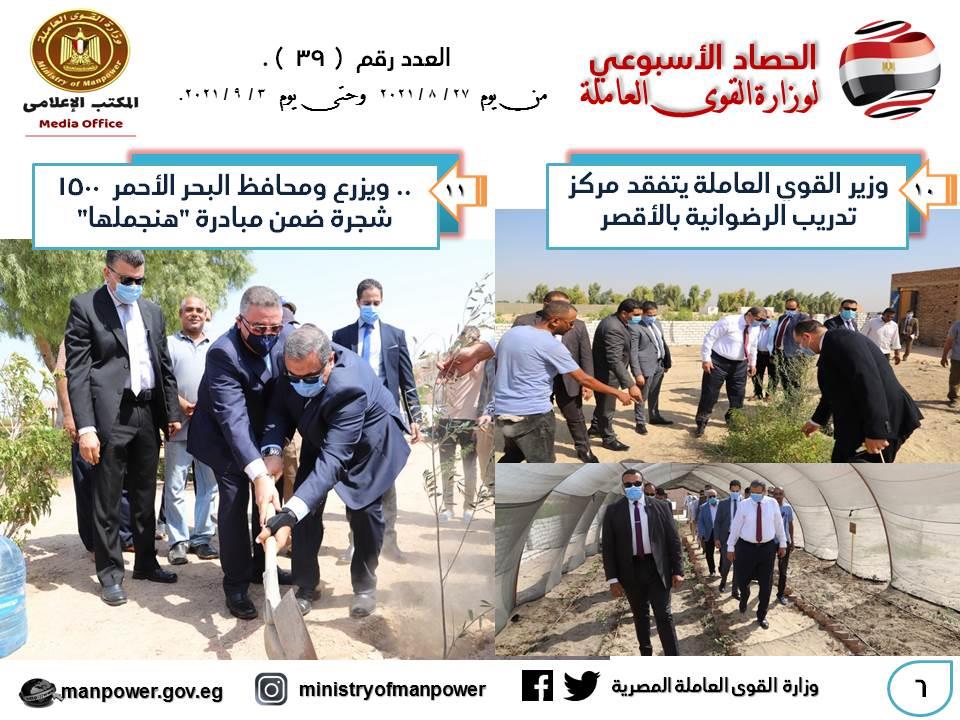 وزارة القوى العاملة في أسبوع 