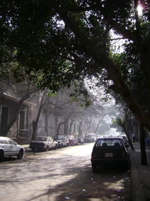 تاريخ «شارع شبرا »  حى مشاهير الفن والأدب والسياسة 