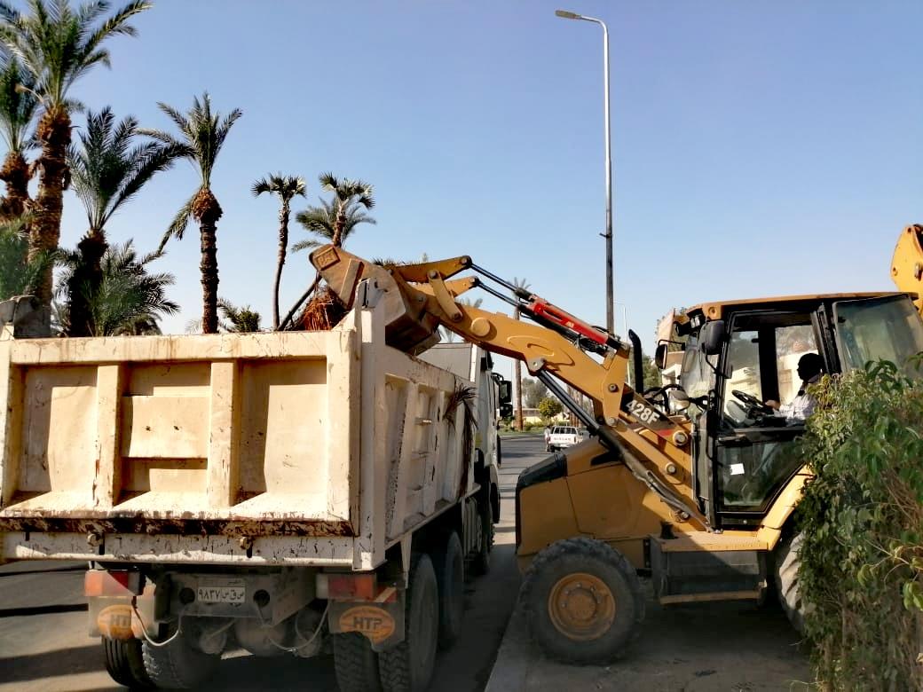إزالة التشوهات بصريه  خلف السياج الشجري والتراكمات بالأقصر