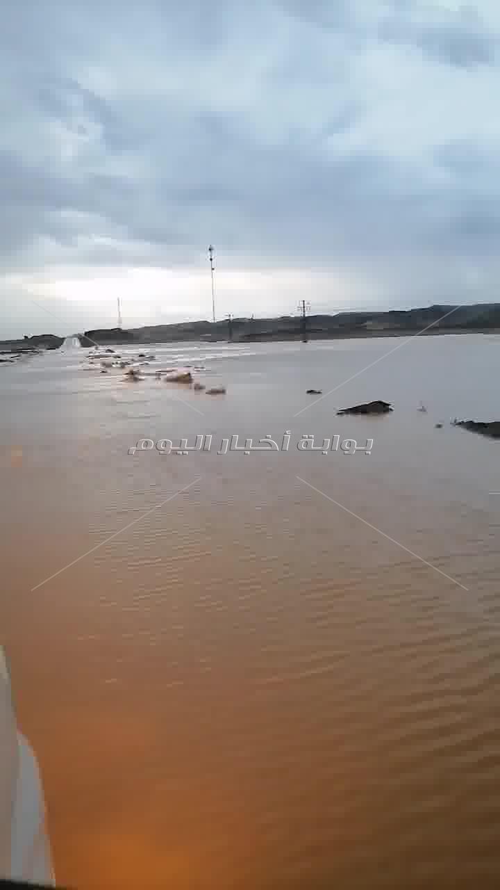 هطول سيول بالكيلو 50 طريق القصير مرسى علم