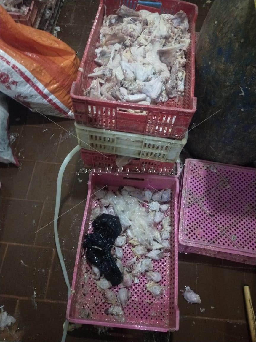 ضبط 9 طن "دواجن ومقطعات دواجن") بدون مستندات "مجهولة المصدر" باوسيم
