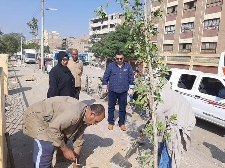 زراعة 510 شجرة على الطرق والشوارع وأمام المدارس بحي غرب سوهاج