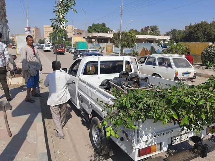 زراعة 510 شجرة على الطرق والشوارع وأمام المدارس بحي غرب سوهاج