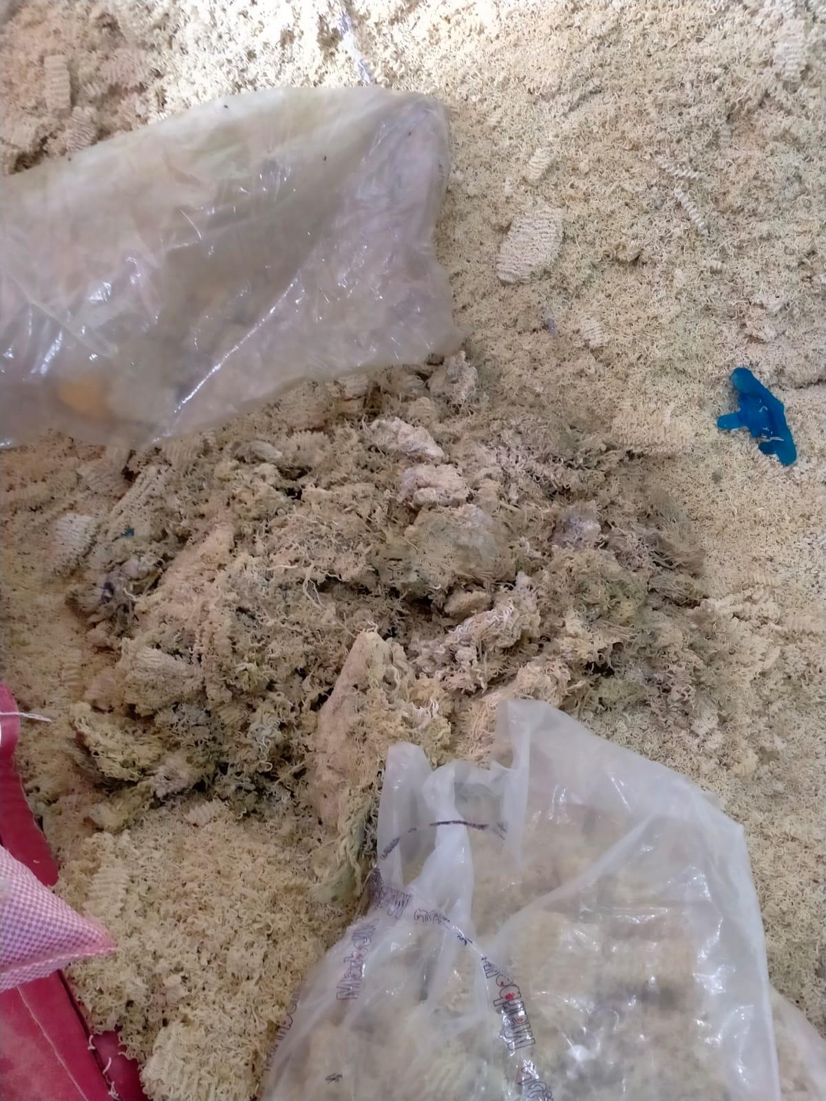 خاص | ضبط 6 طن طحينة فاسدة داخل مصنع غير مرخص بأكتوبر بالصور