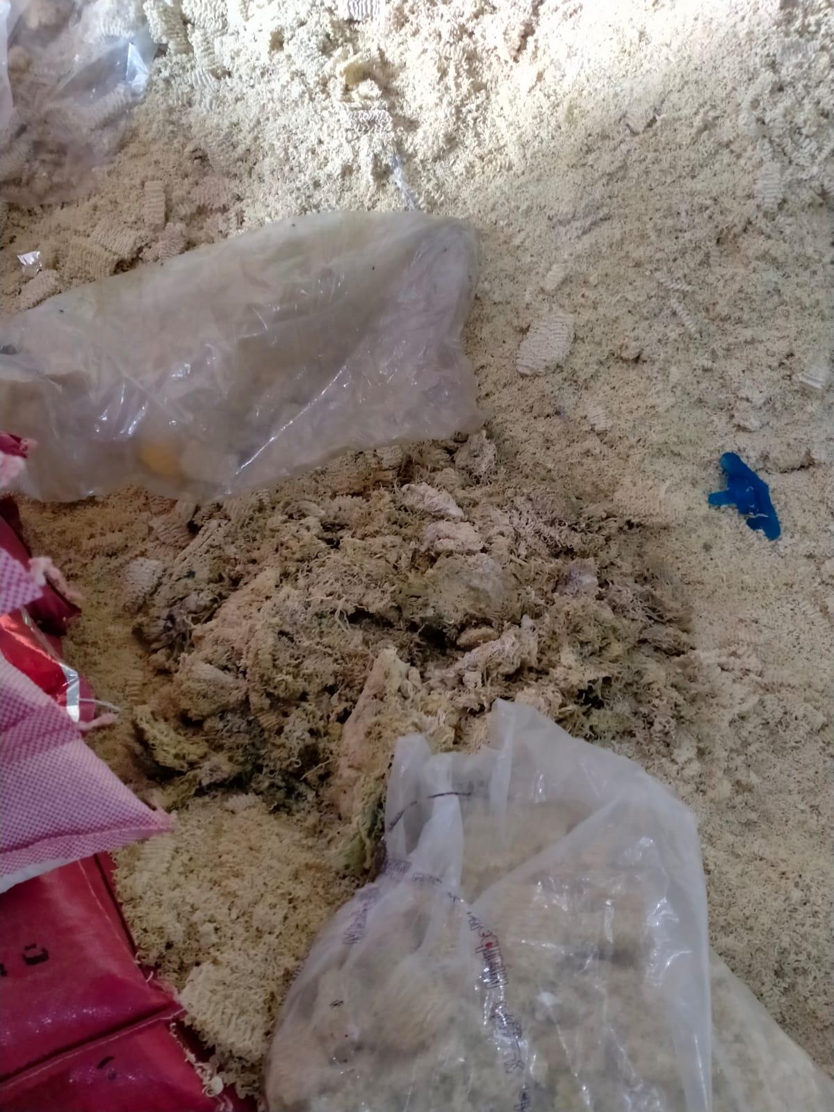 خاص | ضبط 6 طن طحينة فاسدة داخل مصنع غير مرخص بأكتوبر بالصور