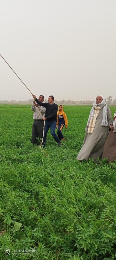 سقوط شجرة على أسلاك الكهرباء بطريق الرحمانية شبراخيت
