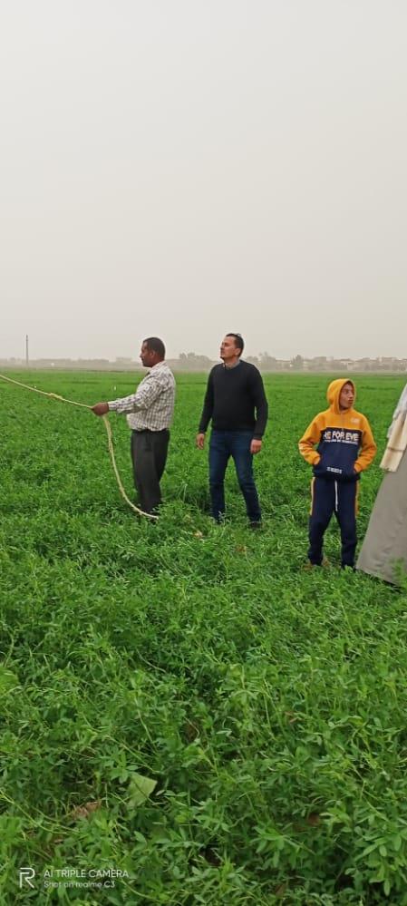 سقوط شجرة على أسلاك الكهرباء بطريق الرحمانية شبراخيت