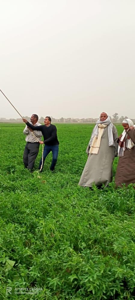 سقوط شجرة على أسلاك الكهرباء بطريق الرحمانية شبراخيت