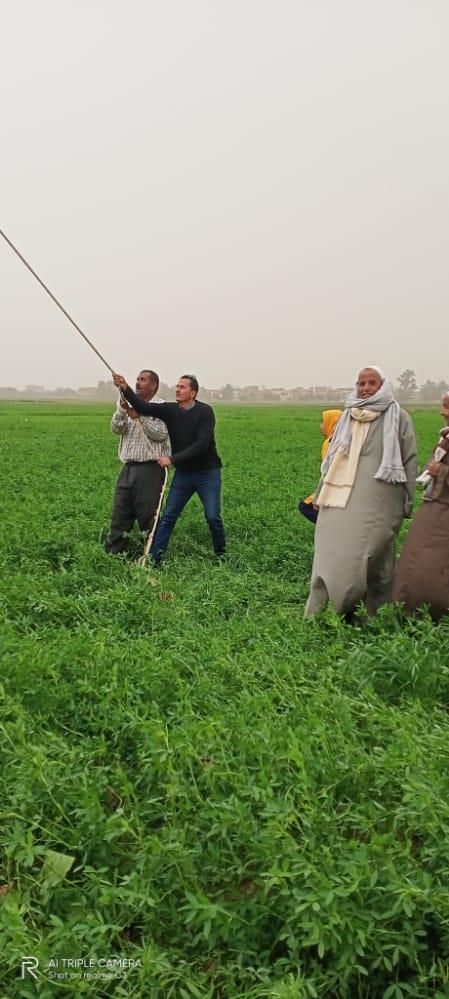 سقوط شجرة على أسلاك الكهرباء بطريق الرحمانية شبراخيت