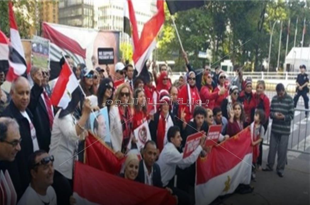 من يحسم الجدل!! .. المصريون بالخارج يطالبون بمعادلة رخصة القيادة المصرية حول العالم 	