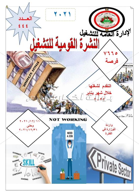 برواتب تصل الى 4500 جنيه وزارة القوي العاملة توفر 7665 وظيفة