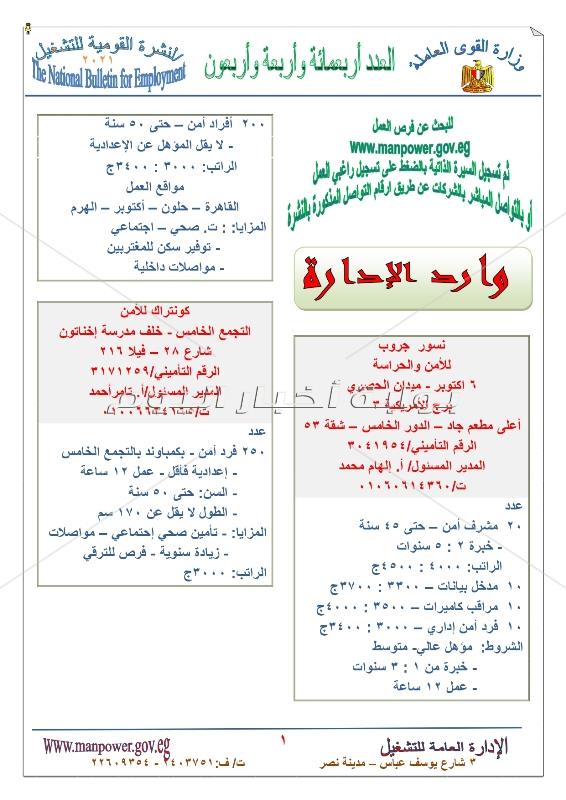 برواتب تصل الى 4500 جنيه وزارة القوي العاملة توفر 7665 وظيفة