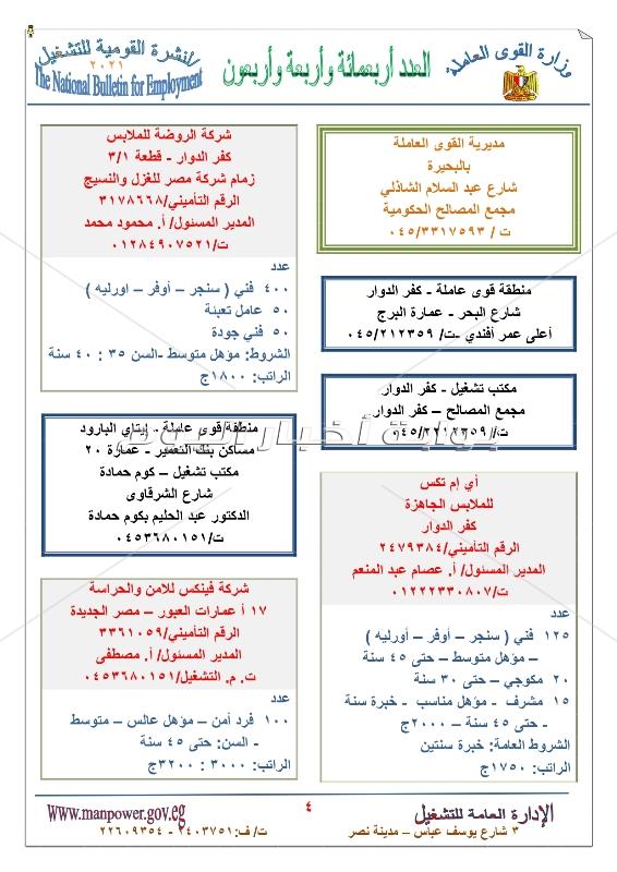 برواتب تصل الى 4500 جنيه وزارة القوي العاملة توفر 7665 وظيفة