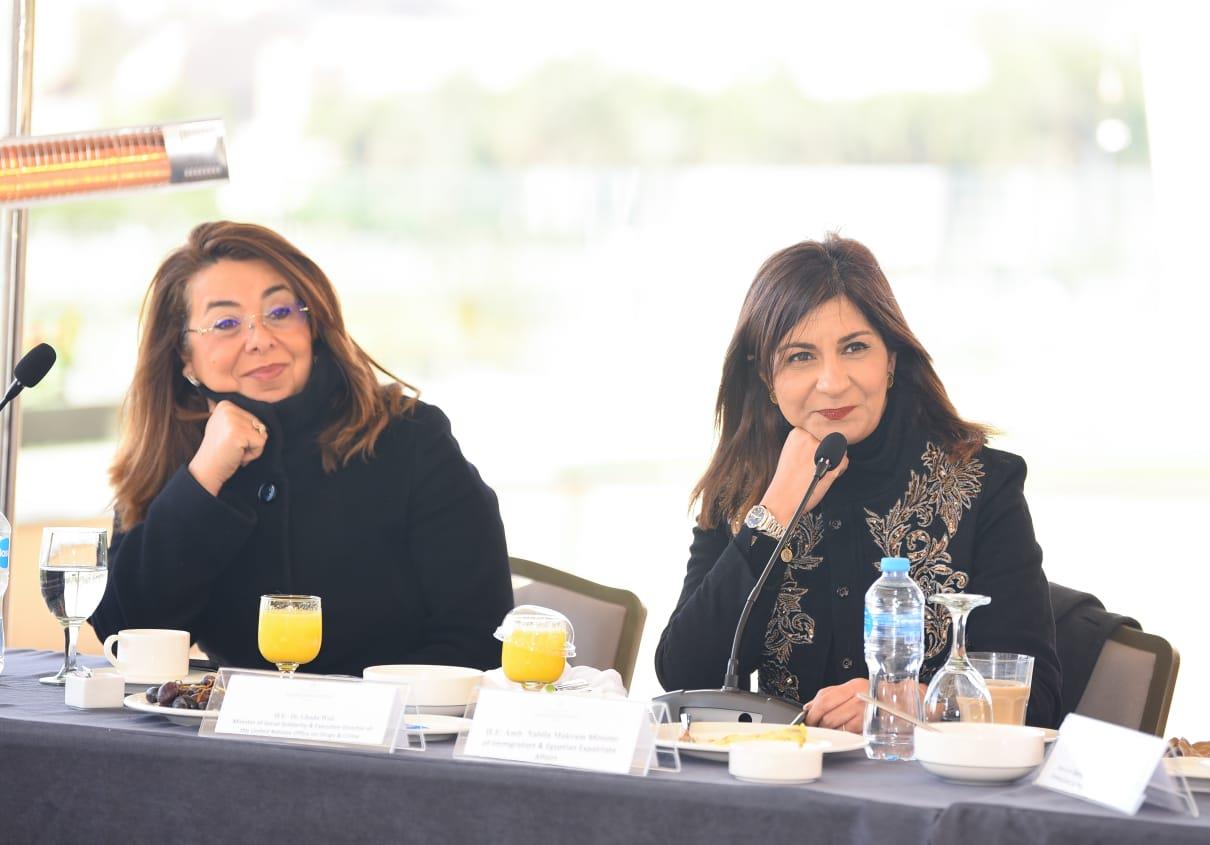  جهود مكثفة لوزارة الدولة للهجرة والجالية المصرية في أفريقيا لتنمية القارة السمراء  