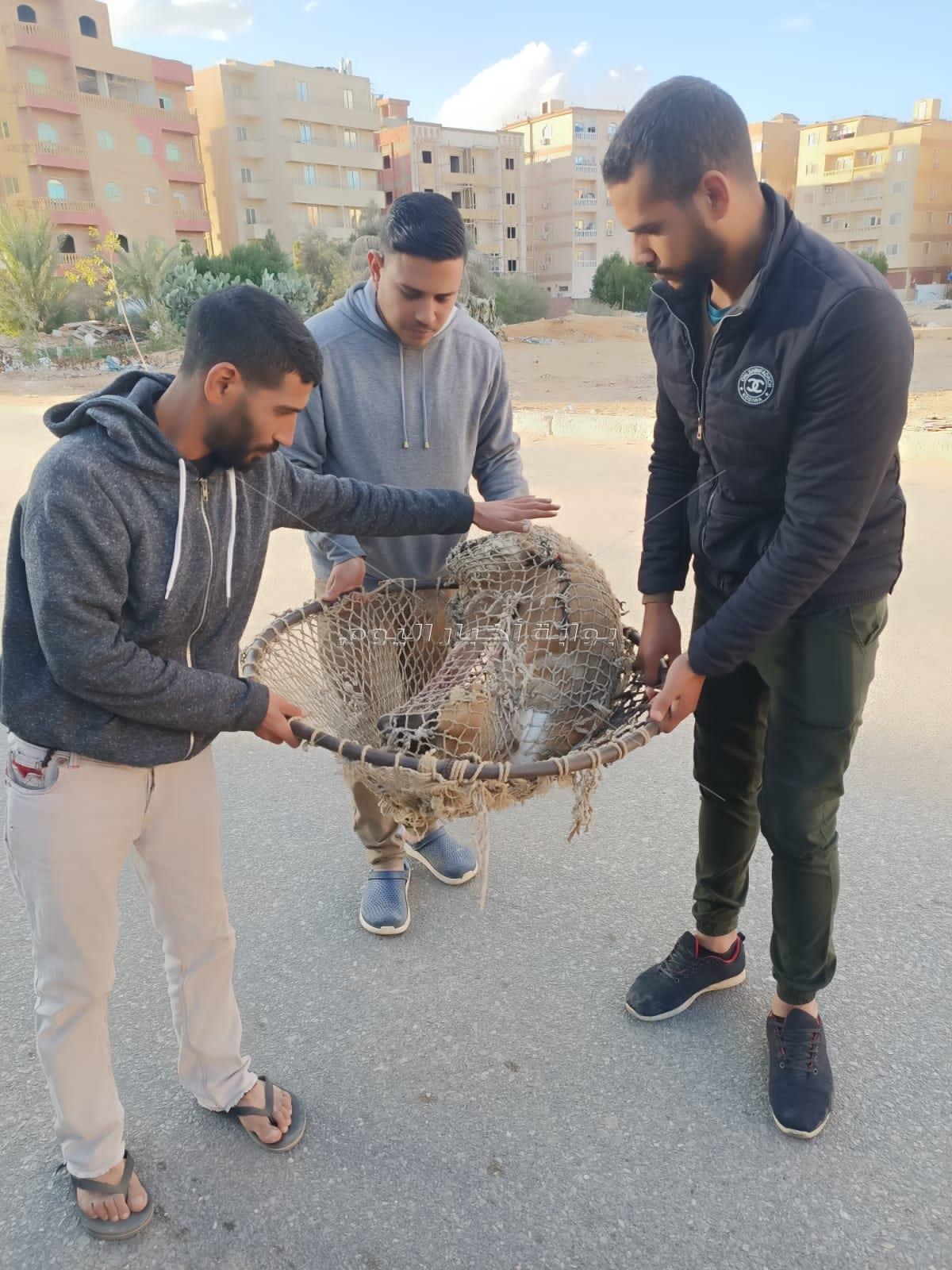 استمرار تنفيذ حملات التطعيم و التعقيم و الإطلاق لكلاب الشوارع فى مدينة 6 أكتوبر 