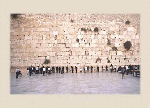  خبير آثار يطالب بتدخل اليونسكو لحماية الأقصى والتراث الفلسطينى