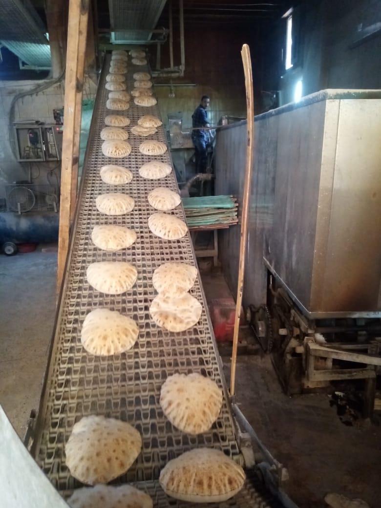 ضبط 5500 كجم خضروات مجمدة