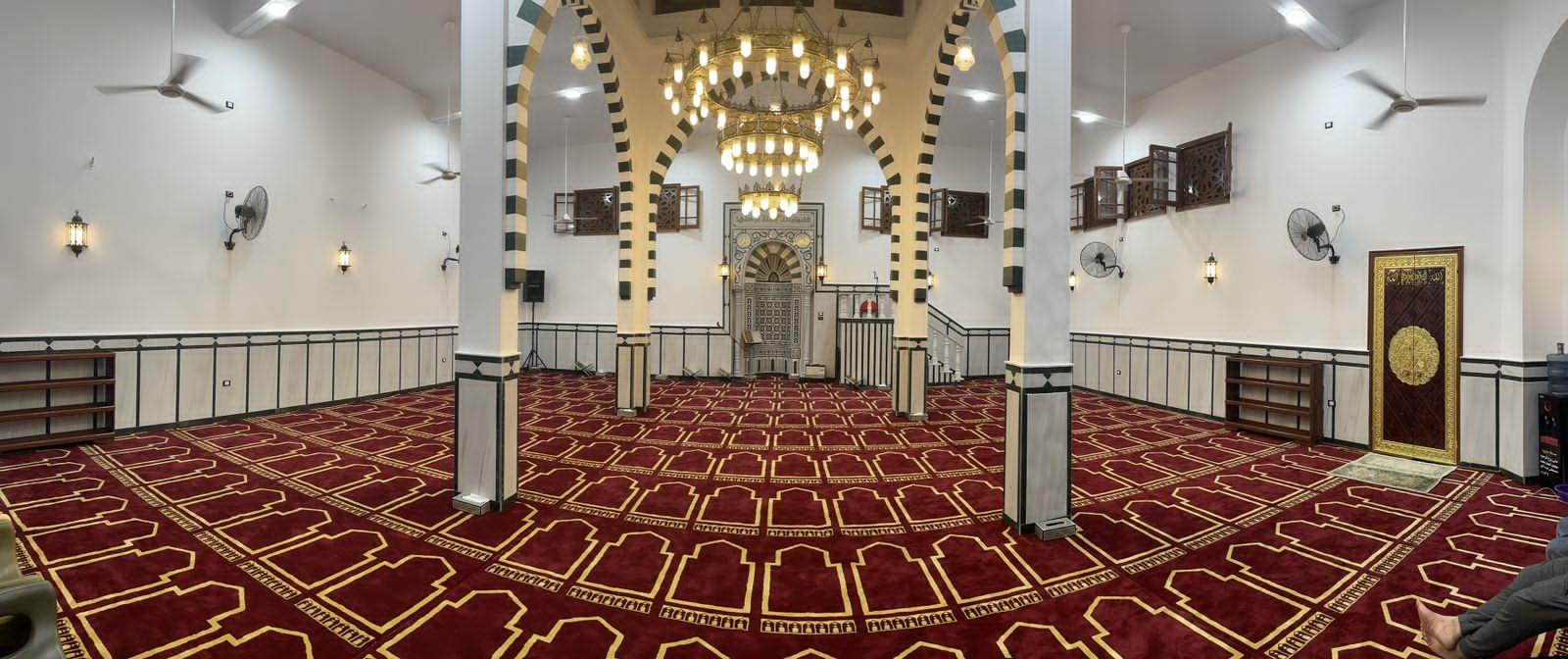 محافظ الدقهلية يفتتح مسجد " أمونة شلبي " بمنية النصر