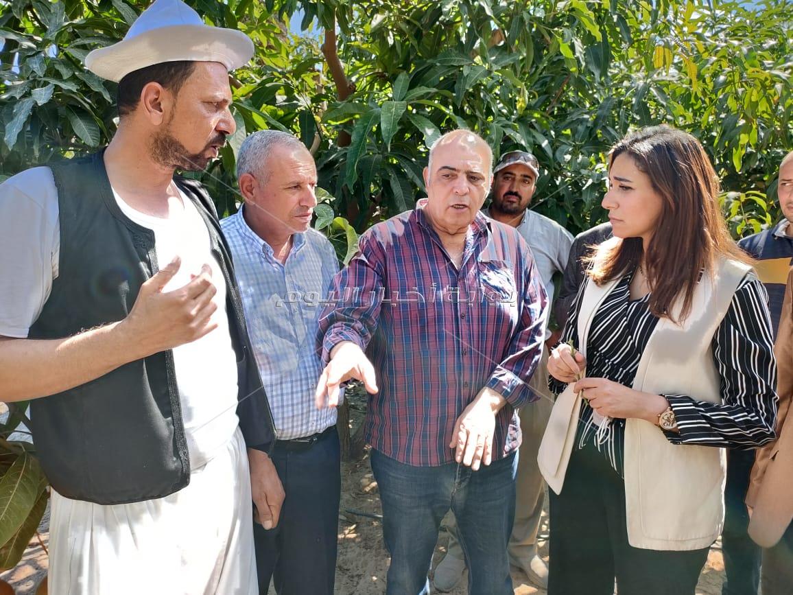 محافظة البحيرة: ندرس إمكانية إقامة مهرجان للبلح.. وننتج 270 ألف طن