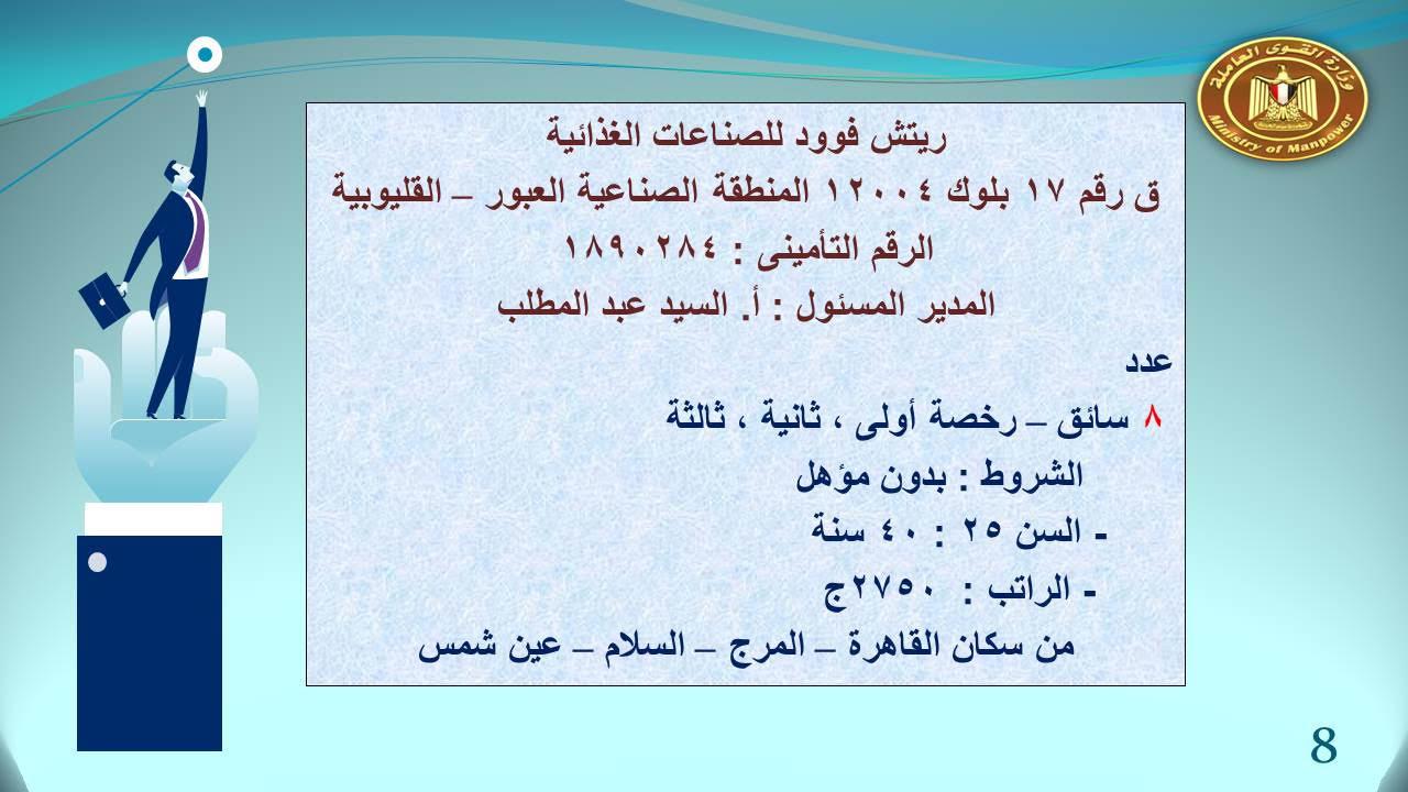 القوى عاملة " تعلن عن263 فرصة عمل   .في القليوبية