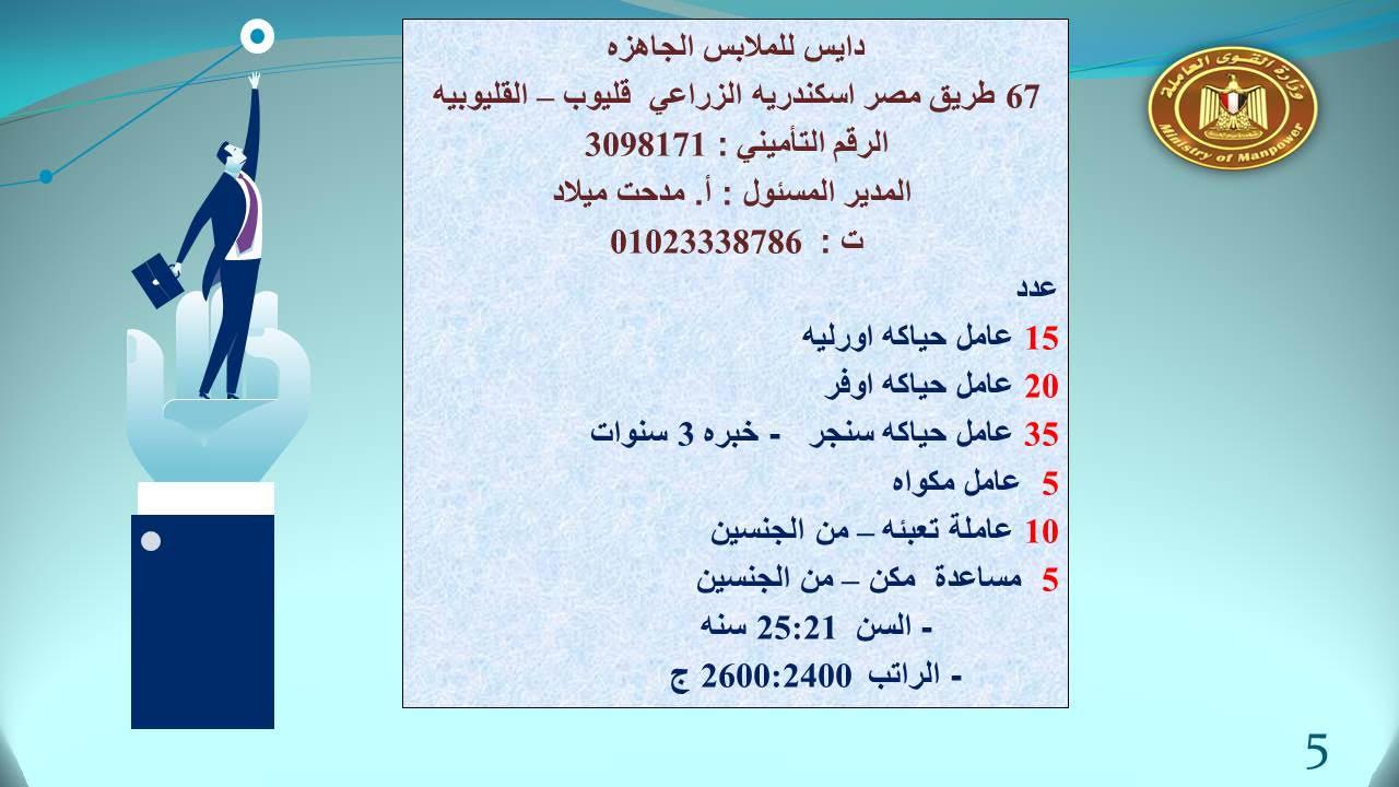 القوى عاملة " تعلن عن263 فرصة عمل   .في القليوبية