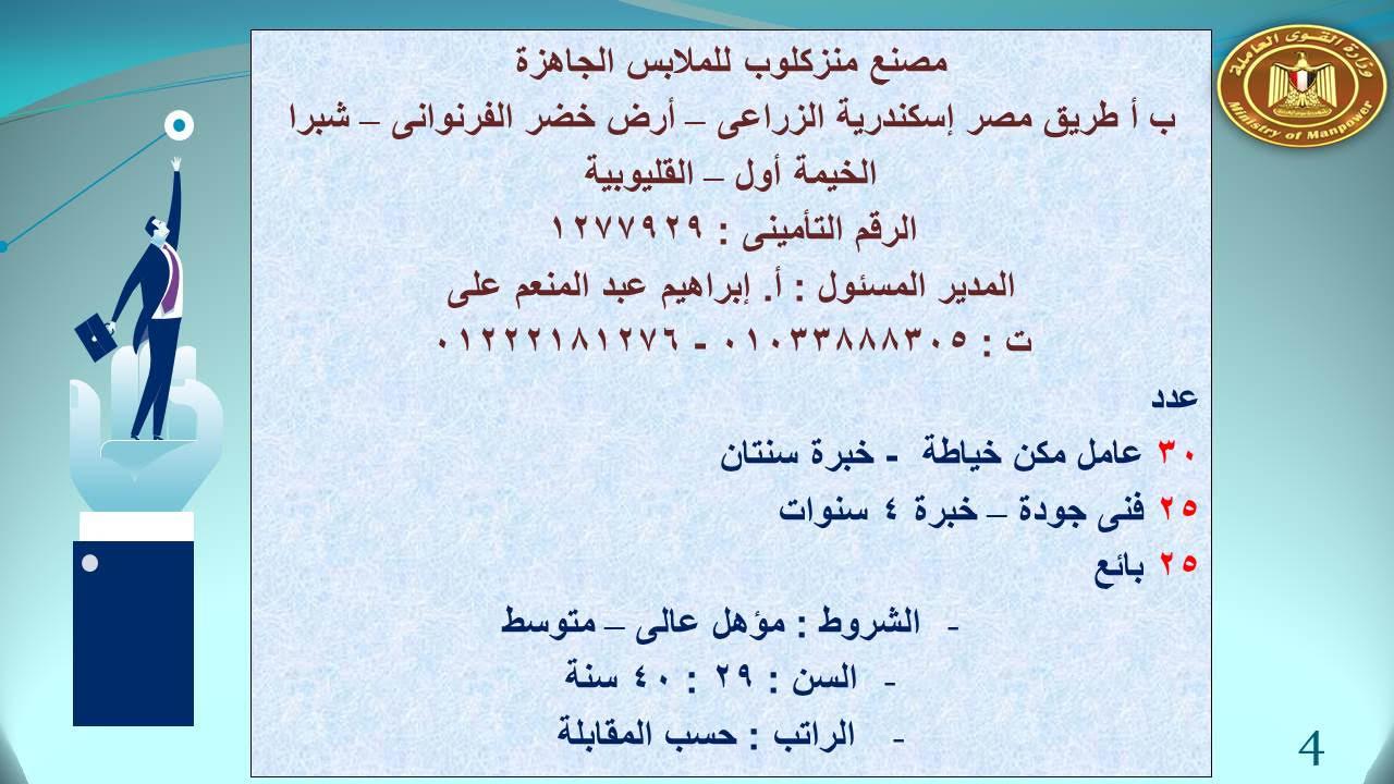 القوى عاملة " تعلن عن263 فرصة عمل   .في القليوبية