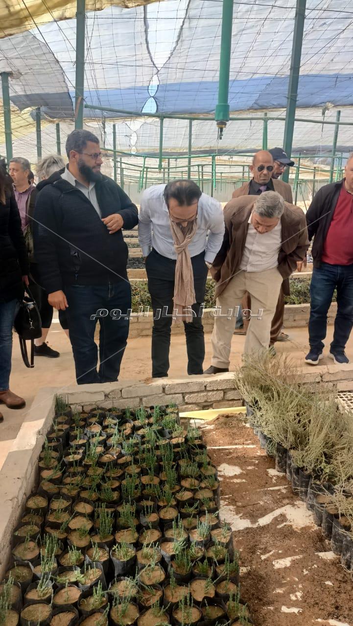 وفد الاتحاد الأوروبي يتفقد مشروعات  مركز التنمية المستدامة بمطروح