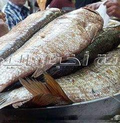 في اليوم الثاني لعيد الفطر إقبال كبير من الاهالي على شراء الفسيخ والرنجة